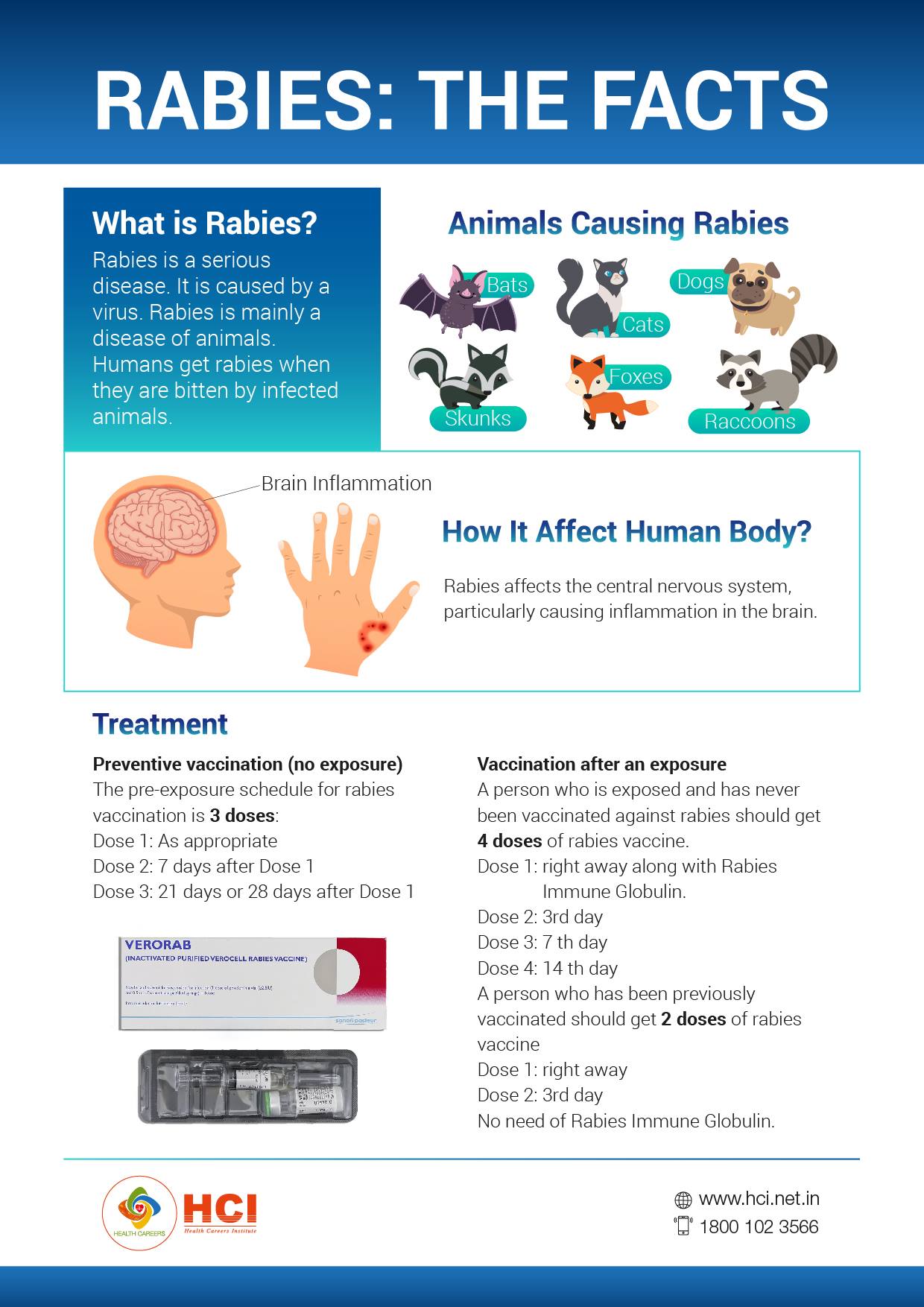 What is Rabies ? How it affect Human... - MWT Global Academy