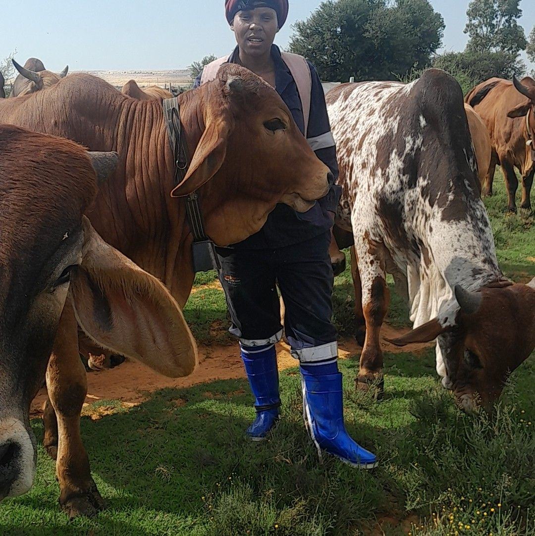 Teboho Tebza - Pholo ke ena Kea e rekisa 18k Bua le nna | Facebook