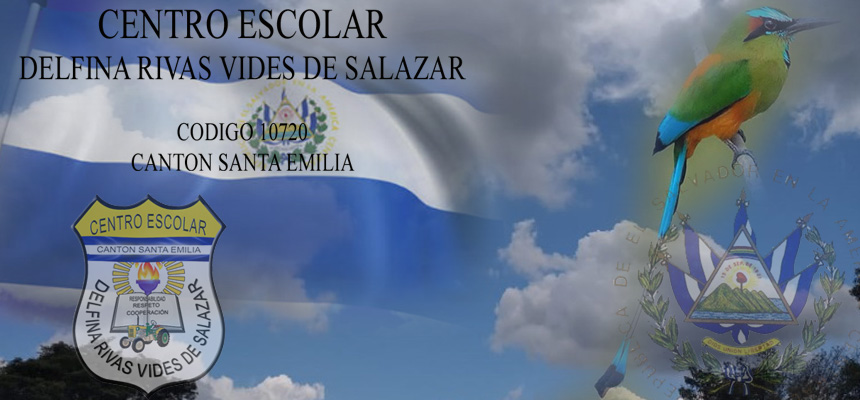 CE Delfina Rivas Vides De Salazar