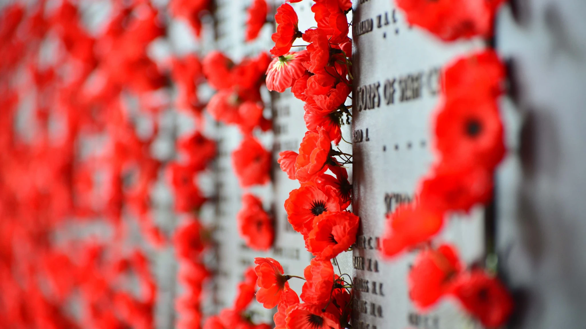 The Poppy Cascade