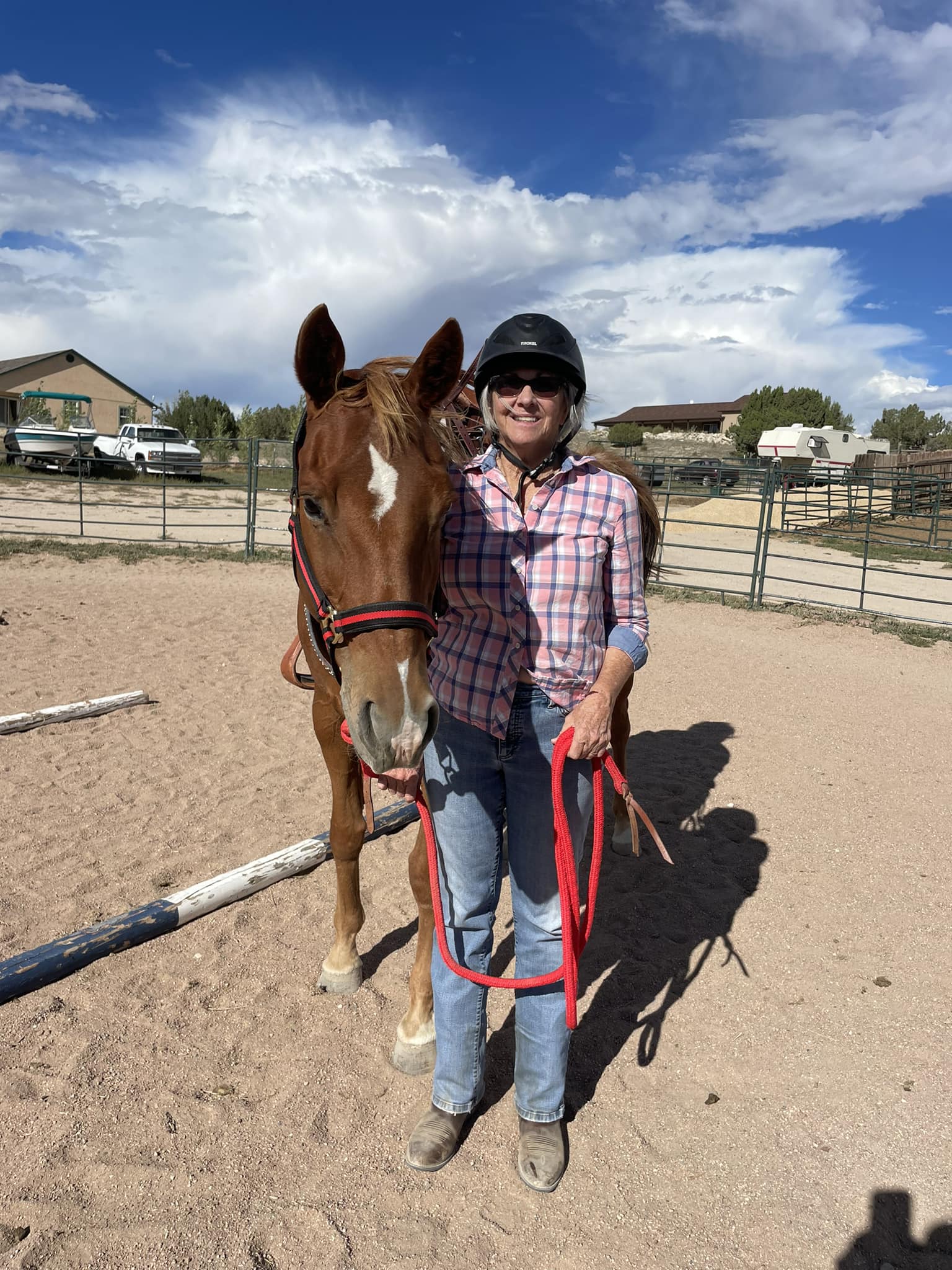 Meet Debbie Clonts who rode... - C H A M P S Riding School | Facebook