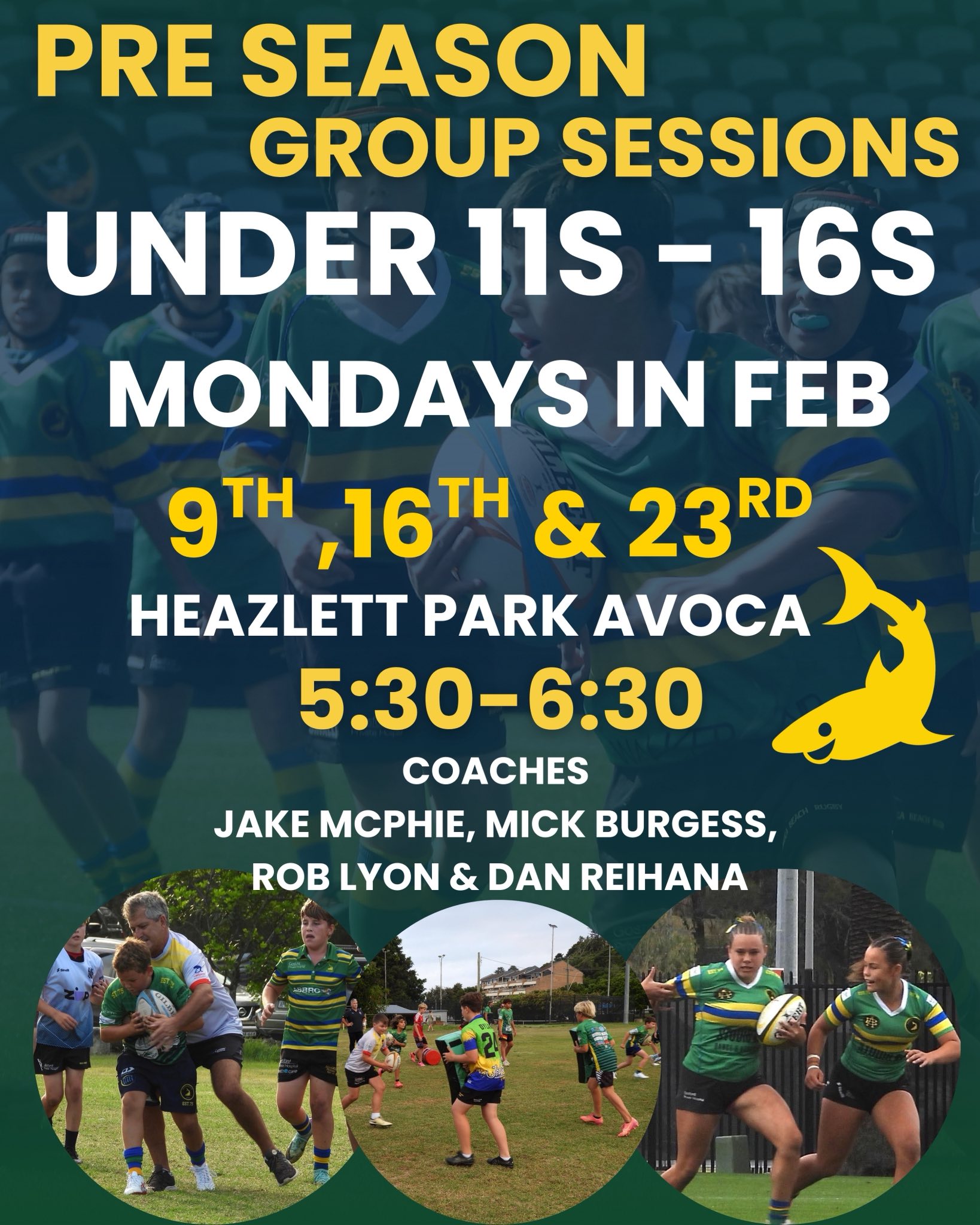 Avoca Beach Rugby Club - The Sharks