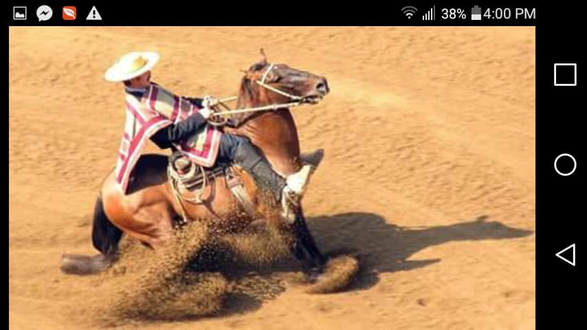 RODEO CHILENO en Paraguay... - RODEO CHILENO en Paraguay