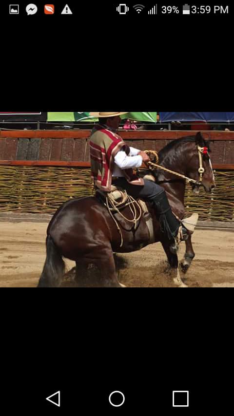 RODEO CHILENO en Paraguay... - RODEO CHILENO en Paraguay