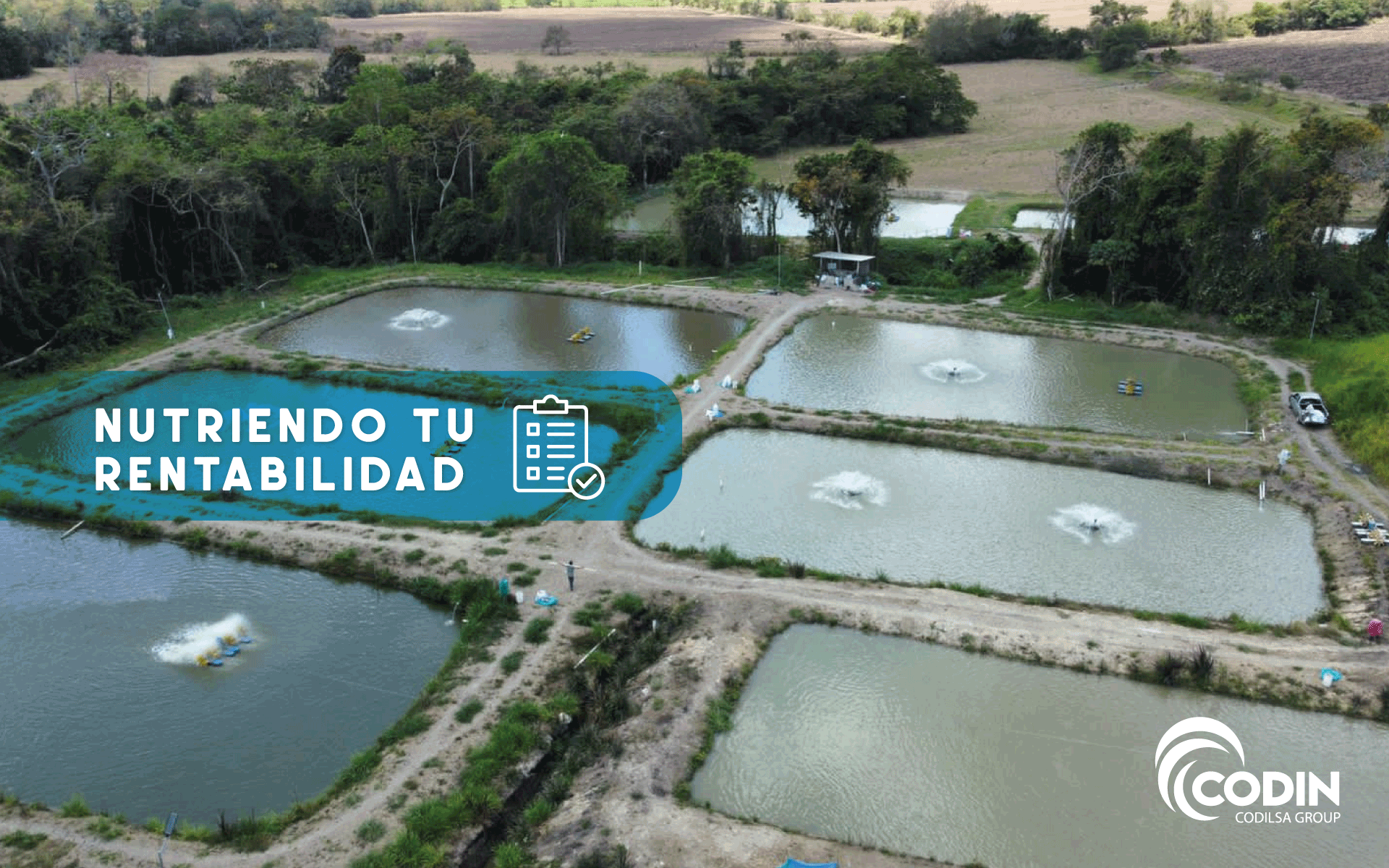 CODIN - ¡Hablamos de nutrición, rentabilidad, rendimiento,... | Facebook