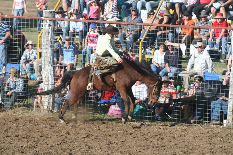 Gayndah Show Society | Gayndah QLD