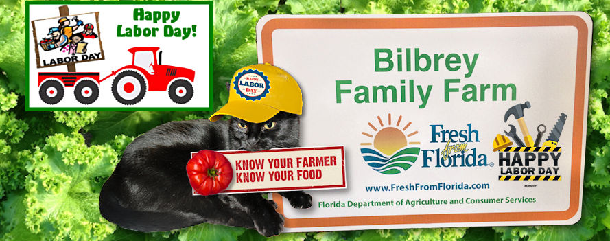 Bilbrey Family Farm | Auburndale FL