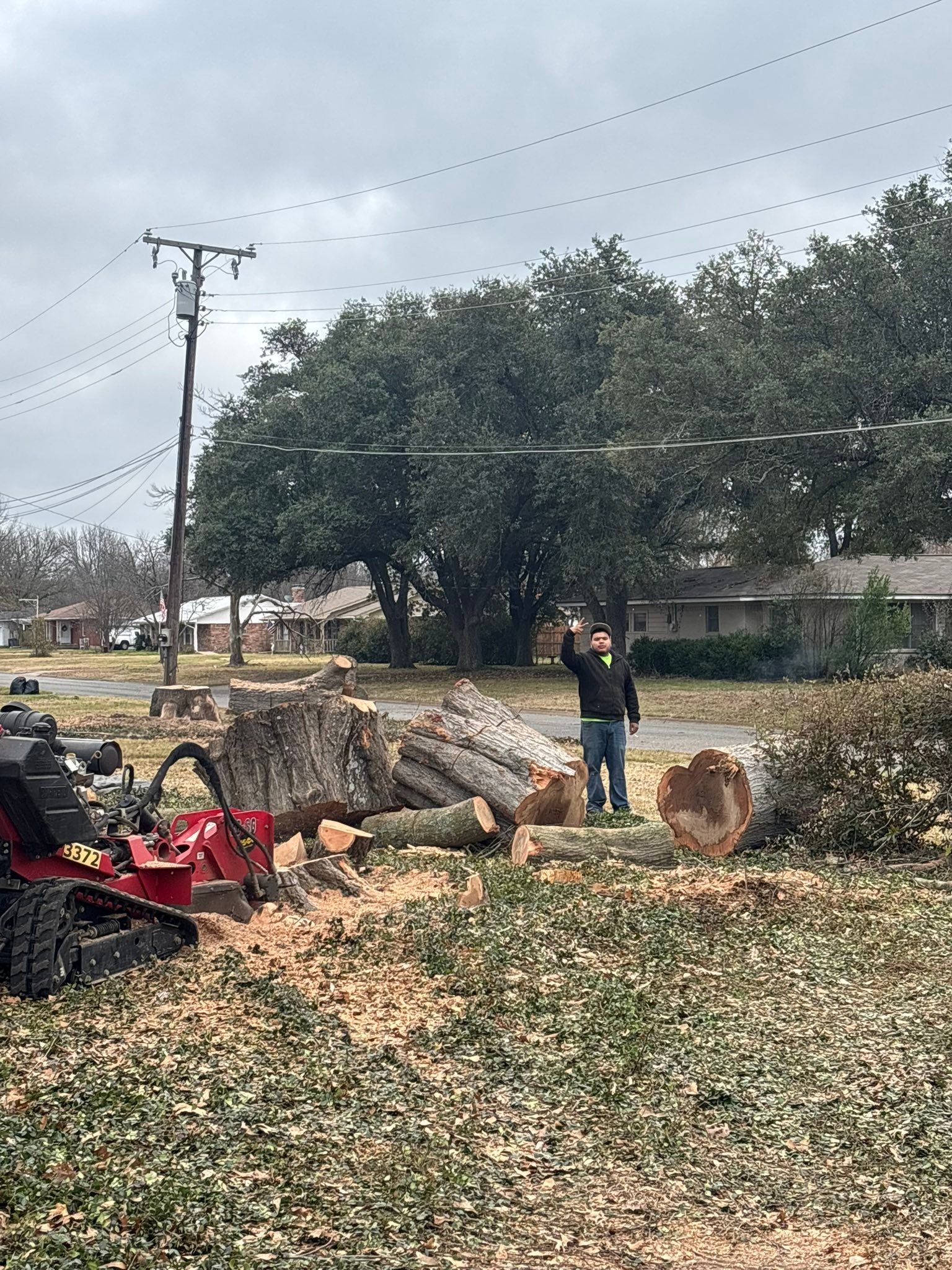 C & A Tree & Lawn Service LLC | Terrell TX
