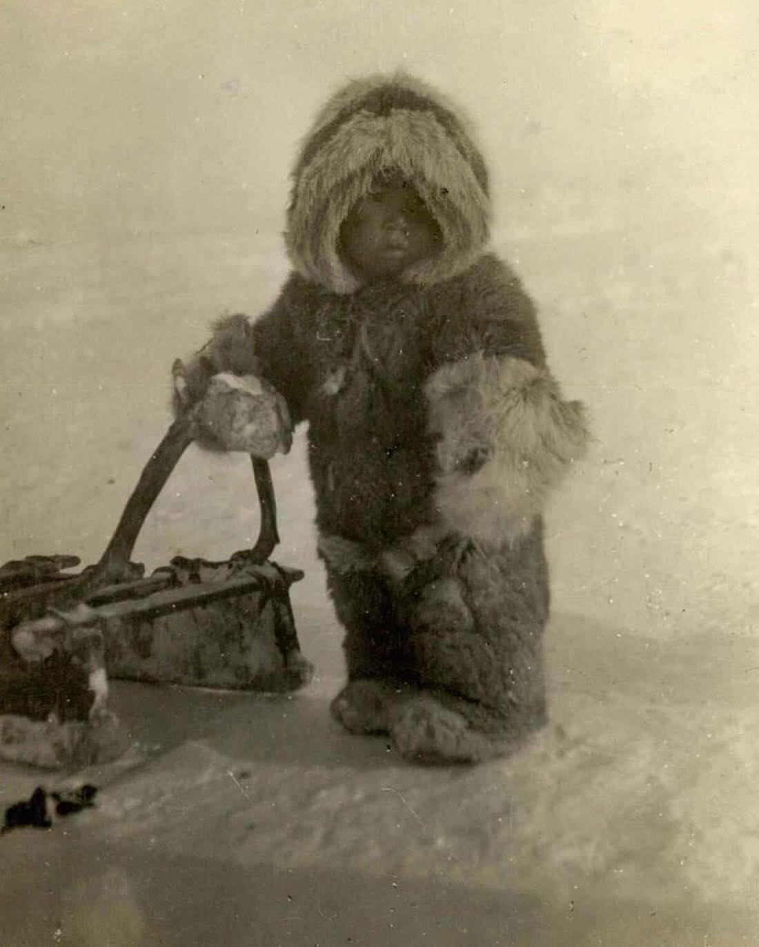 【希少】デンマーク ヴィンテージ Britt Wedberg イヌイットの子供 An Inuk toddler in full furs holding onto a sled, taken likely in