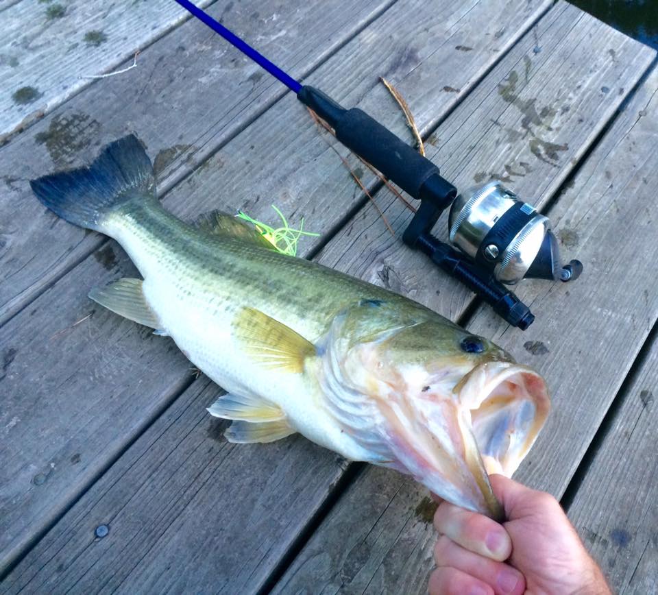 big angry fish rods and reels Nomad Tackle Madmacs 160 High Speed Sinking 6" Fly Rod Best Big Game