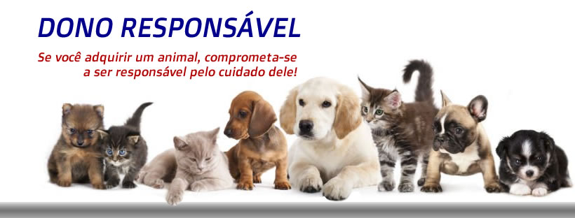 dono-respons-vel