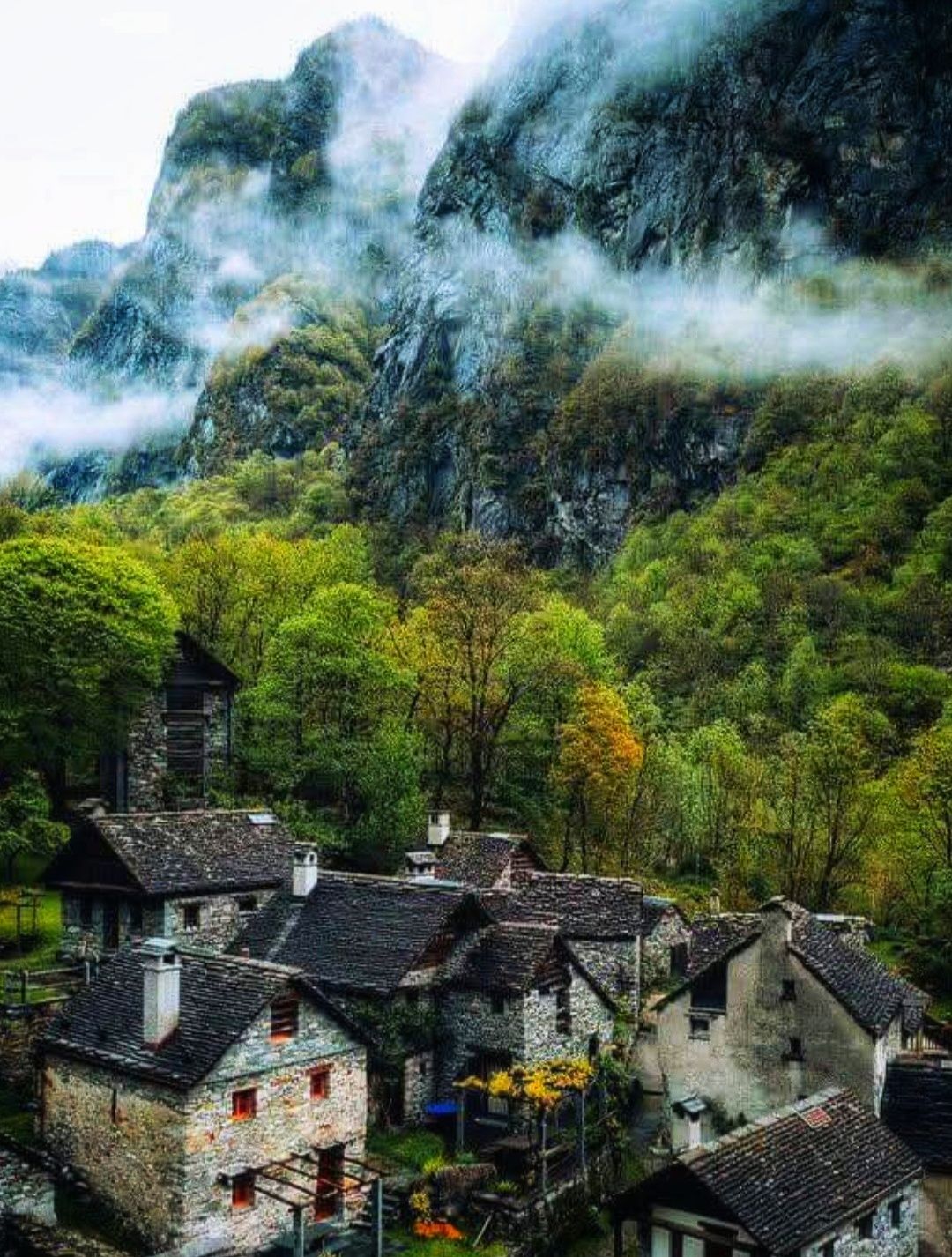 世界の　スイス　0624 Switzerland 🇨🇭 💚