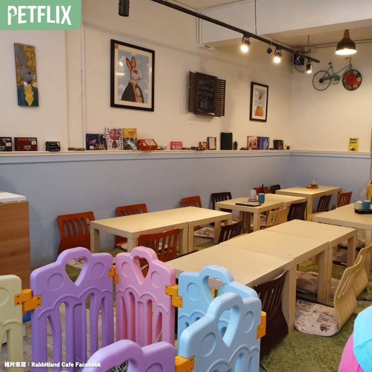 Petflix 毛聊 - #銅鑼灣 #兔兔 【🐰寵物友善好去處】全港唯一兔兔Cafe🐰☕ 今次要同大家介紹全港唯一一間以兔仔為主題嘅Cafe ...