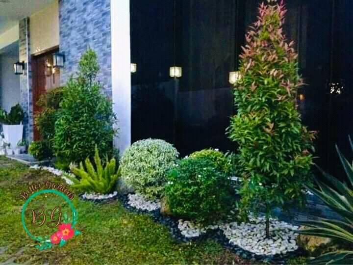 Landscape Service