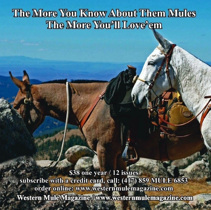 Western Mule Magazine - Western Mule Magazine All About Mules Every ...