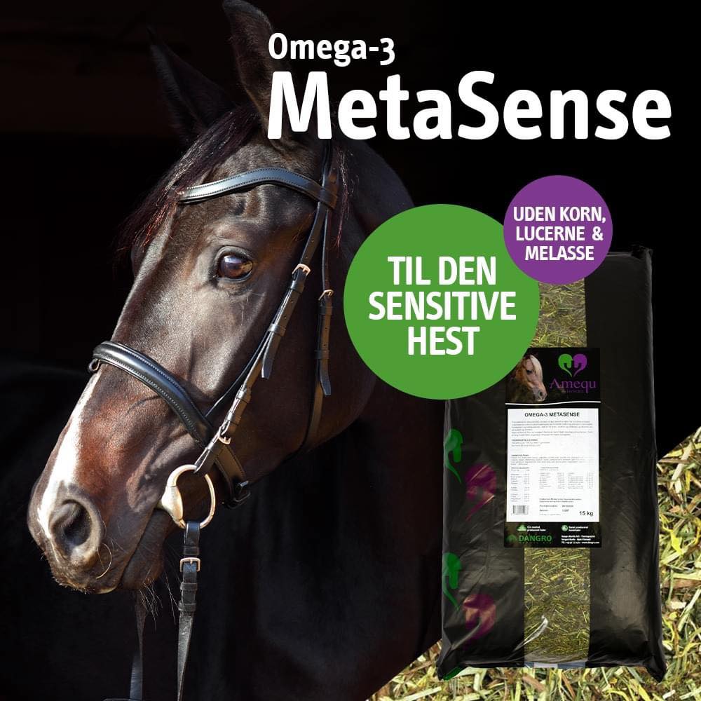 🐴🐴 OMEGA-3 METASENSE - TIL SENSITIVE... - Støvlsig Hestefoder