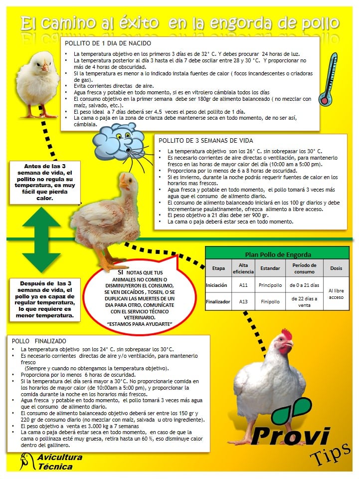 Provi Tips | Mérida