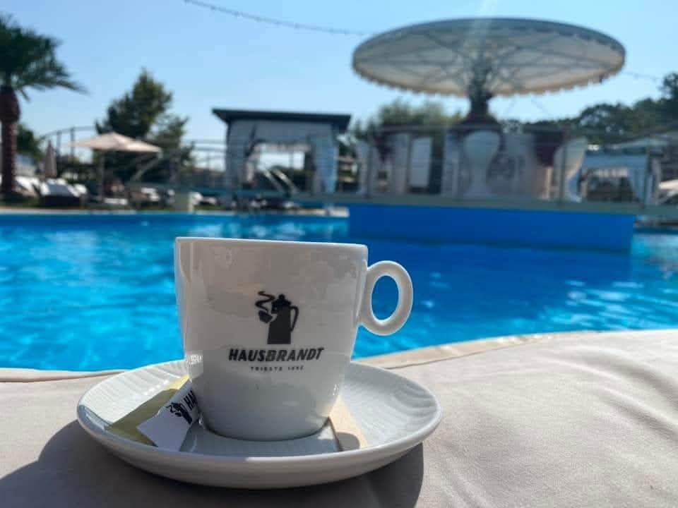 Magic Pool Trivale | Pitesti