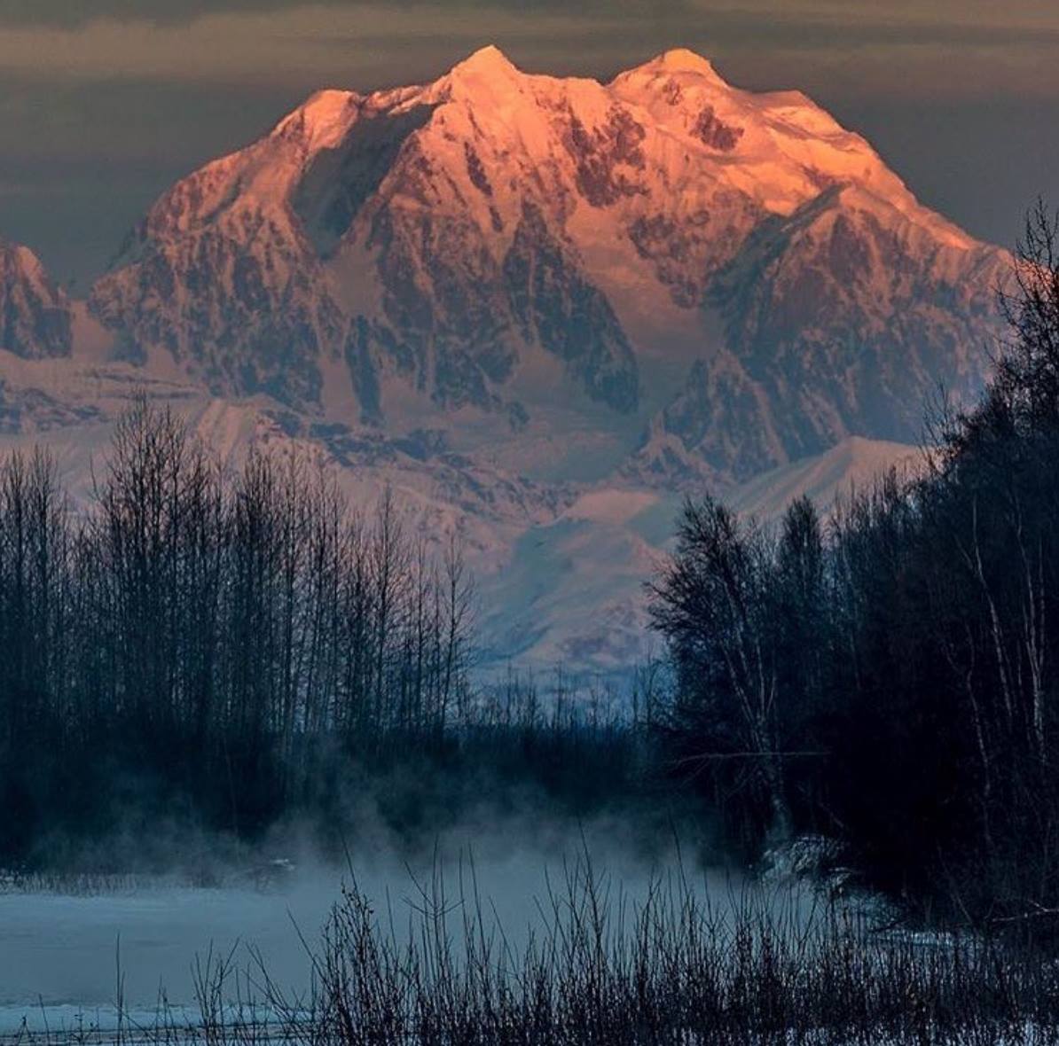 Alaska Gift Baskets | Tucson AZ