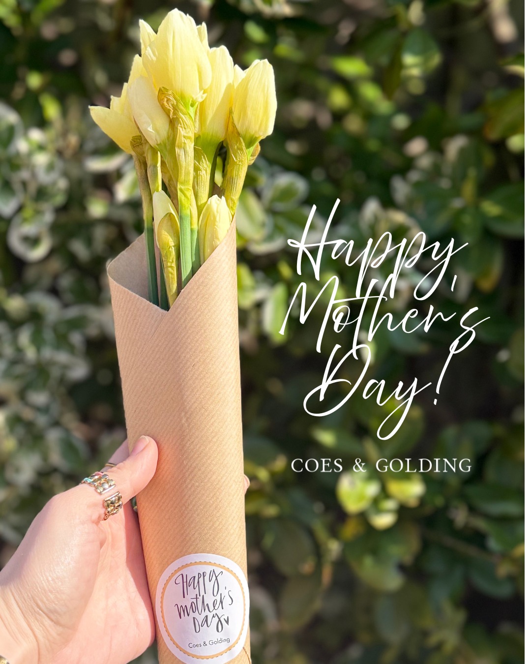 Coes - This Mother's Day, we're spreading smiles with daffodils! 💛 A ...