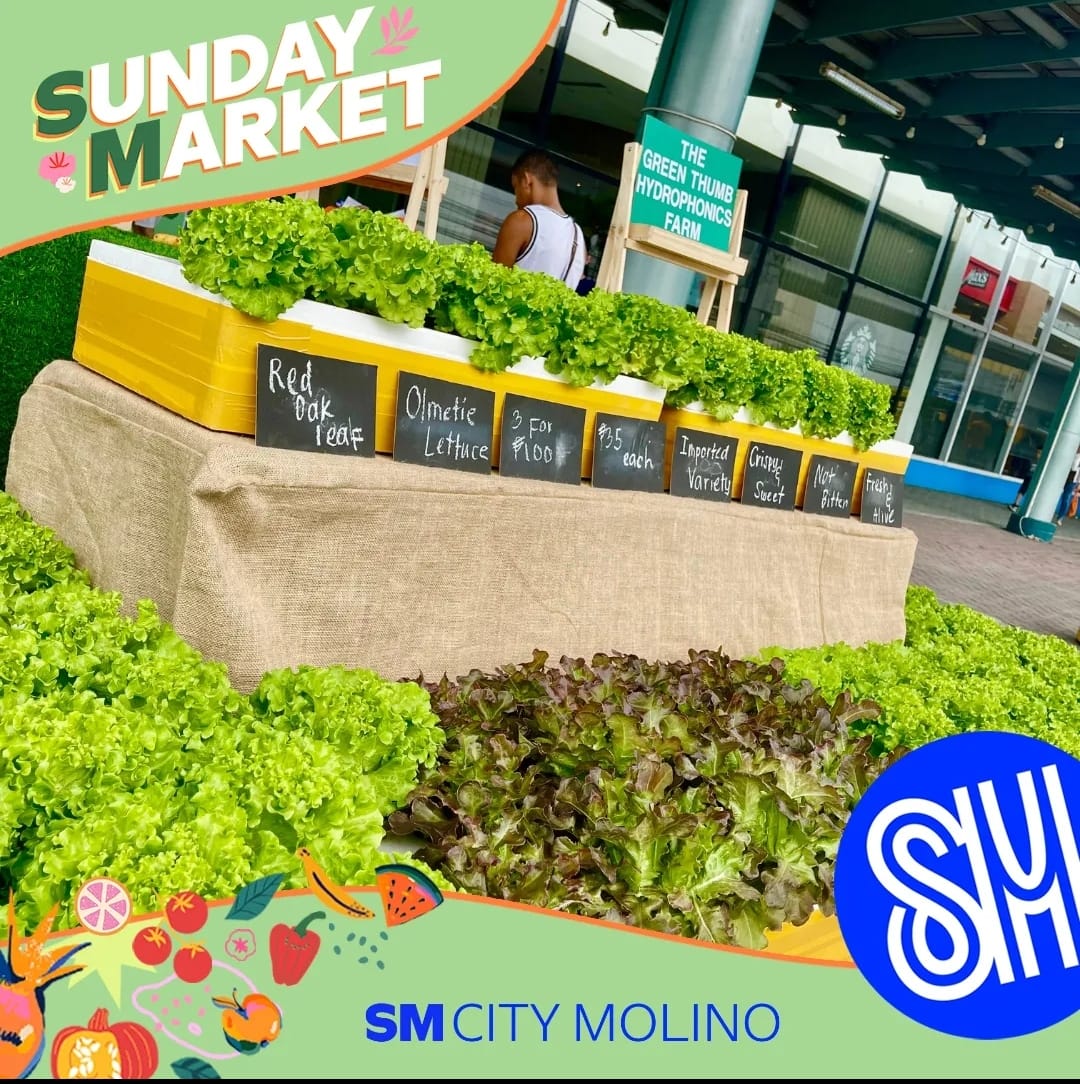 The Green Thumb Hydroponics Farm | Imus