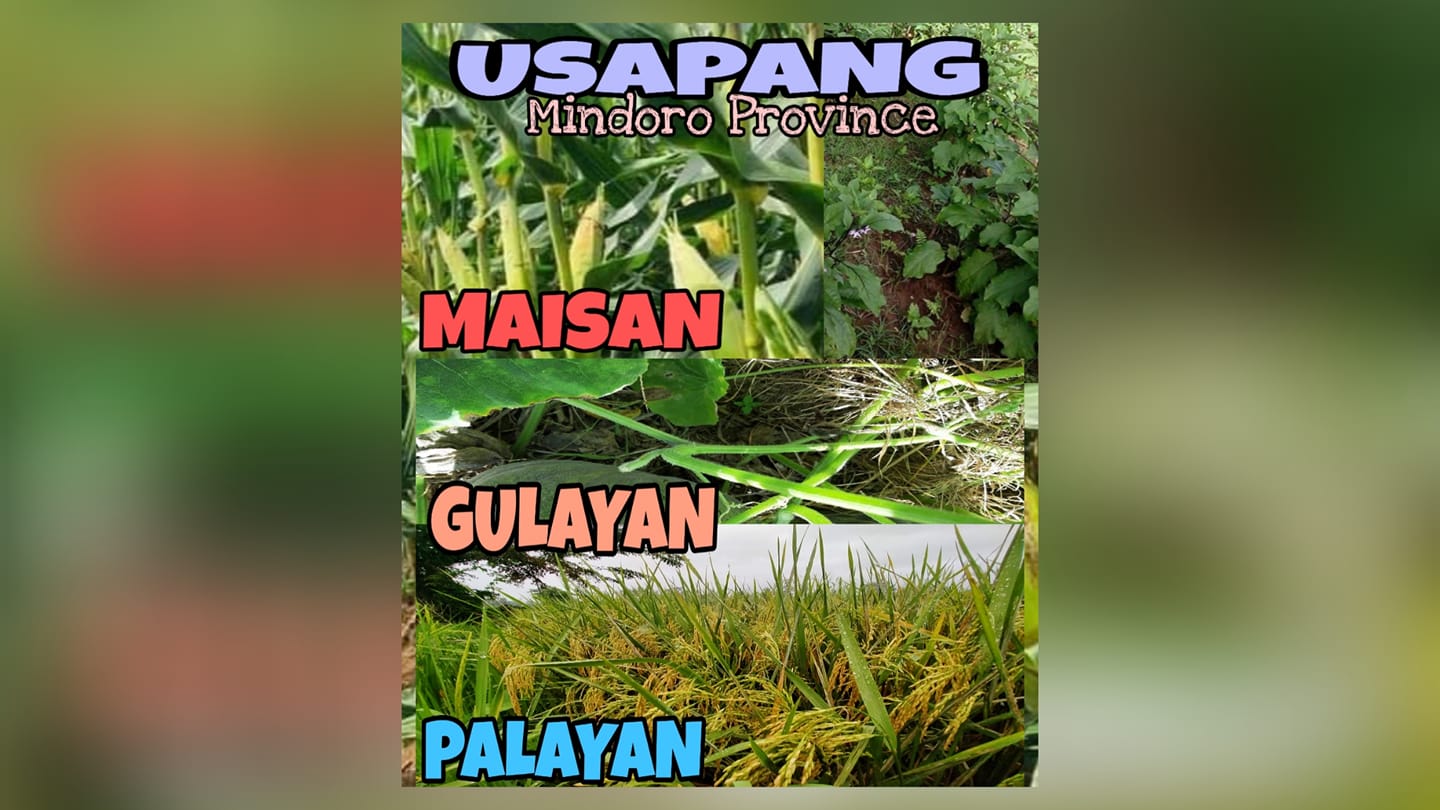 Usapang Palayan, Gulayan at Maisan（Mindoro Province）