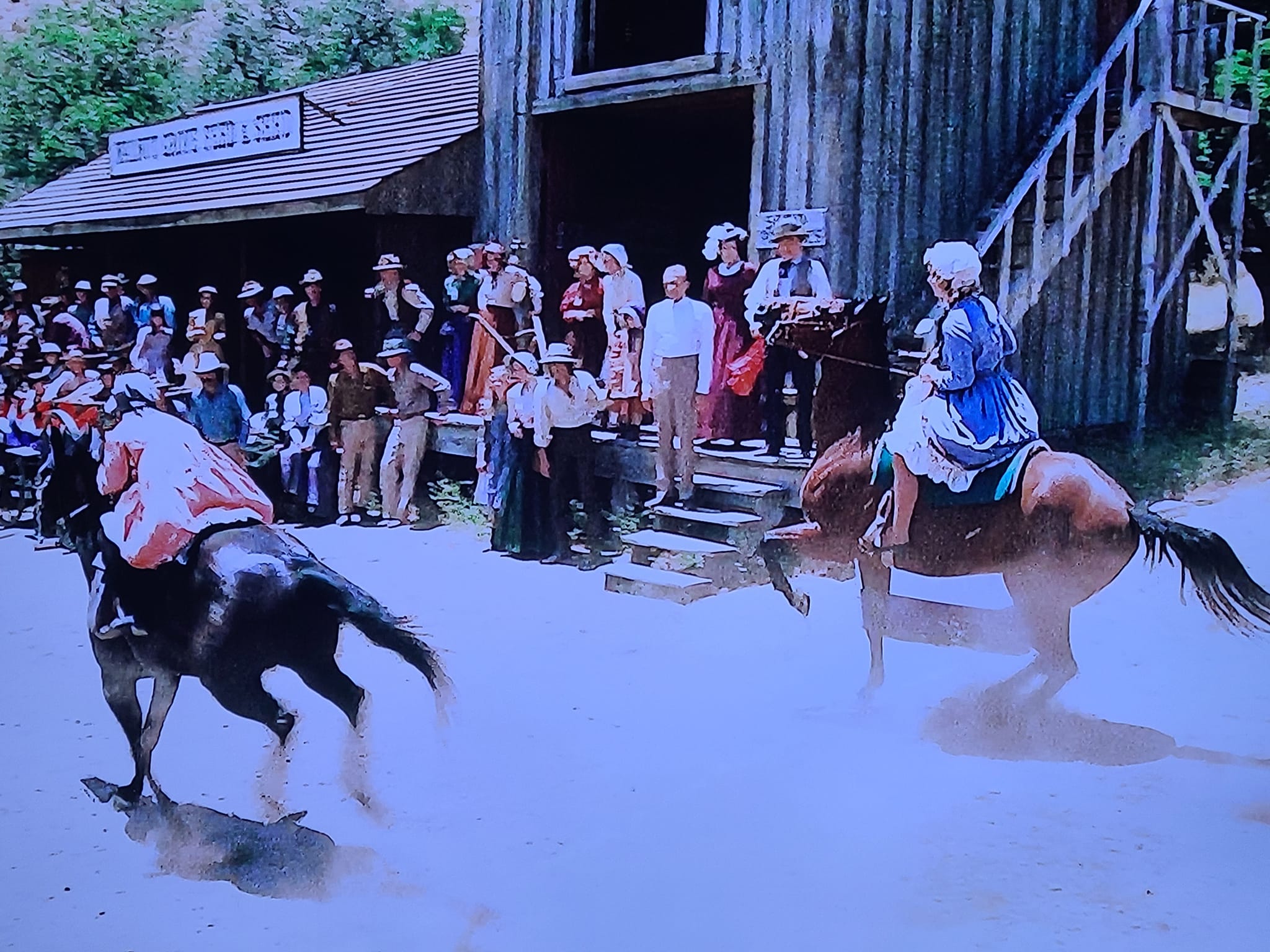house on the hill ／ Parent Pants horse In the Bunny episode where Nellie gets thrown off the horse