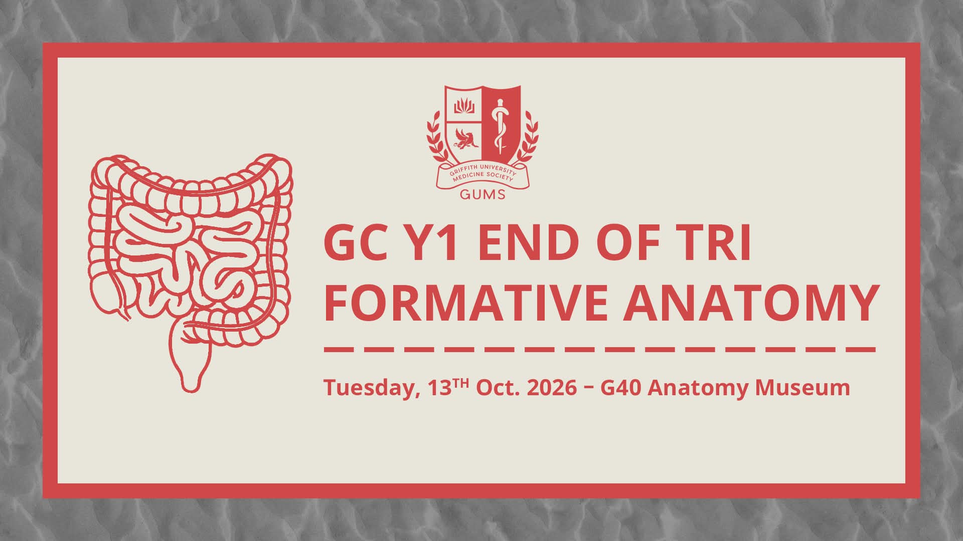 GC Y1 End of Tri Formative Anatomy