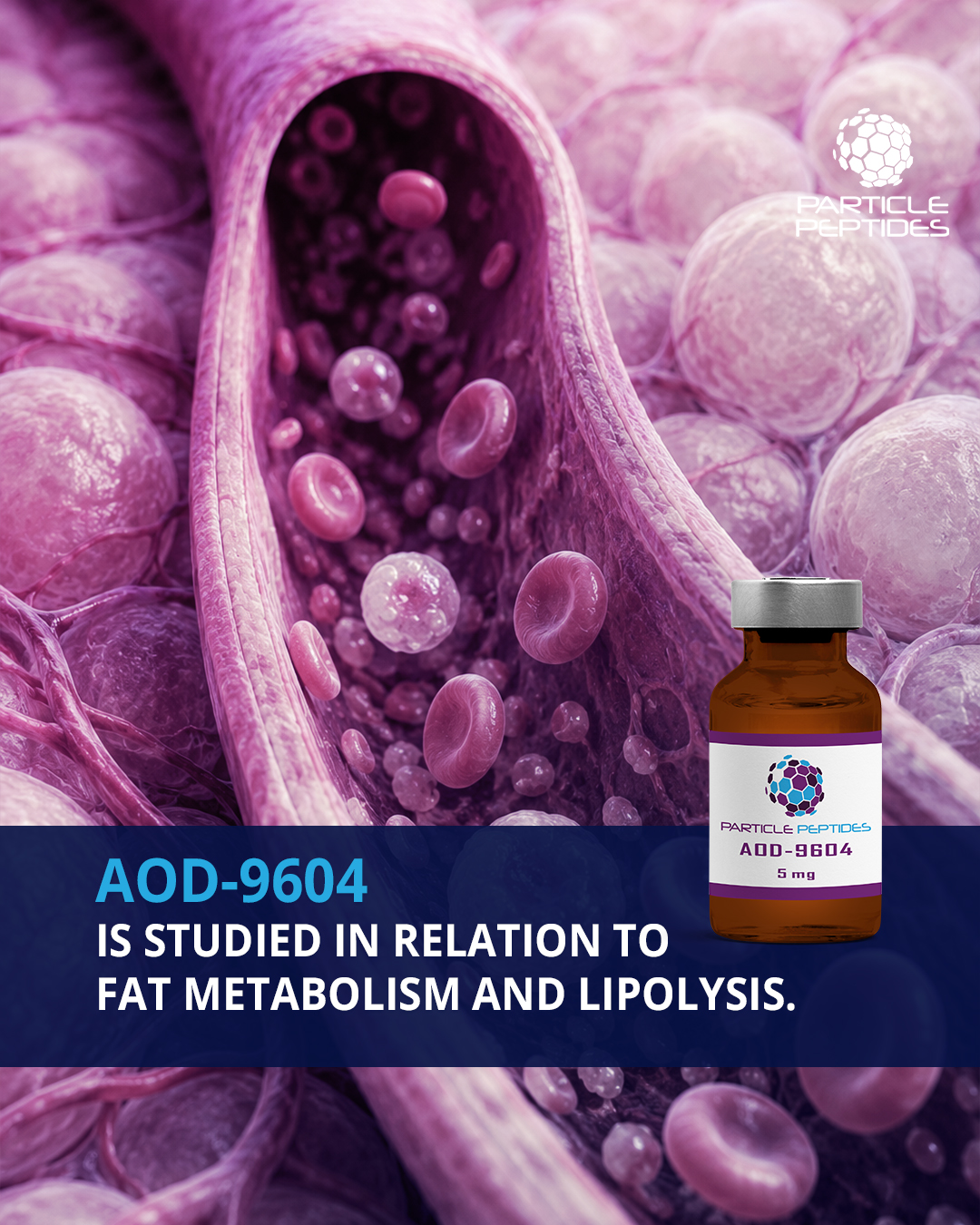 aod9604 dosage chart AOD 9604 dosage: complete protocol guide for fat loss Net Weight:5mg what are b12 injections B Shots
