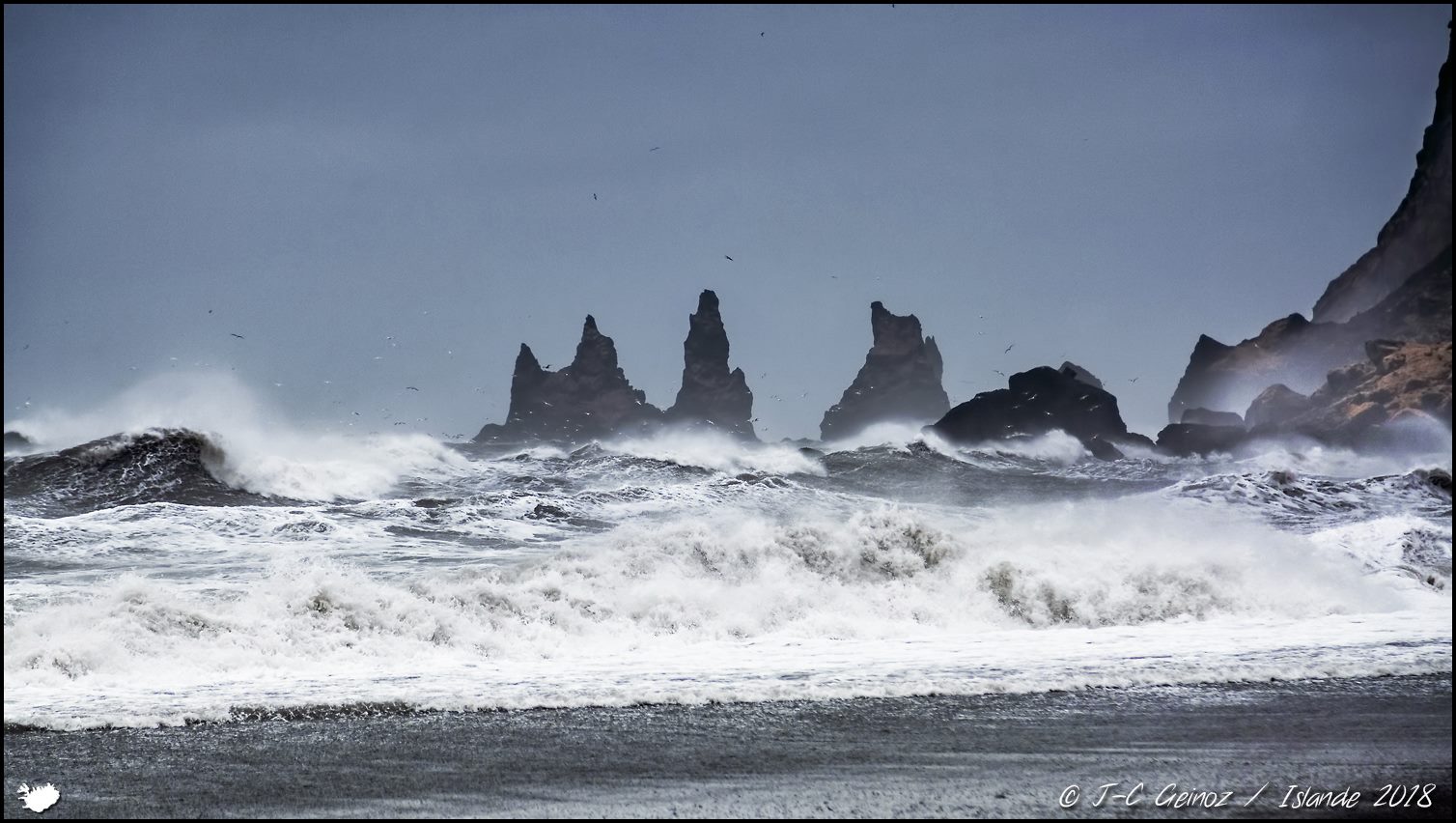 Big storm on the black sand beach of Vik / Iceland March 2018