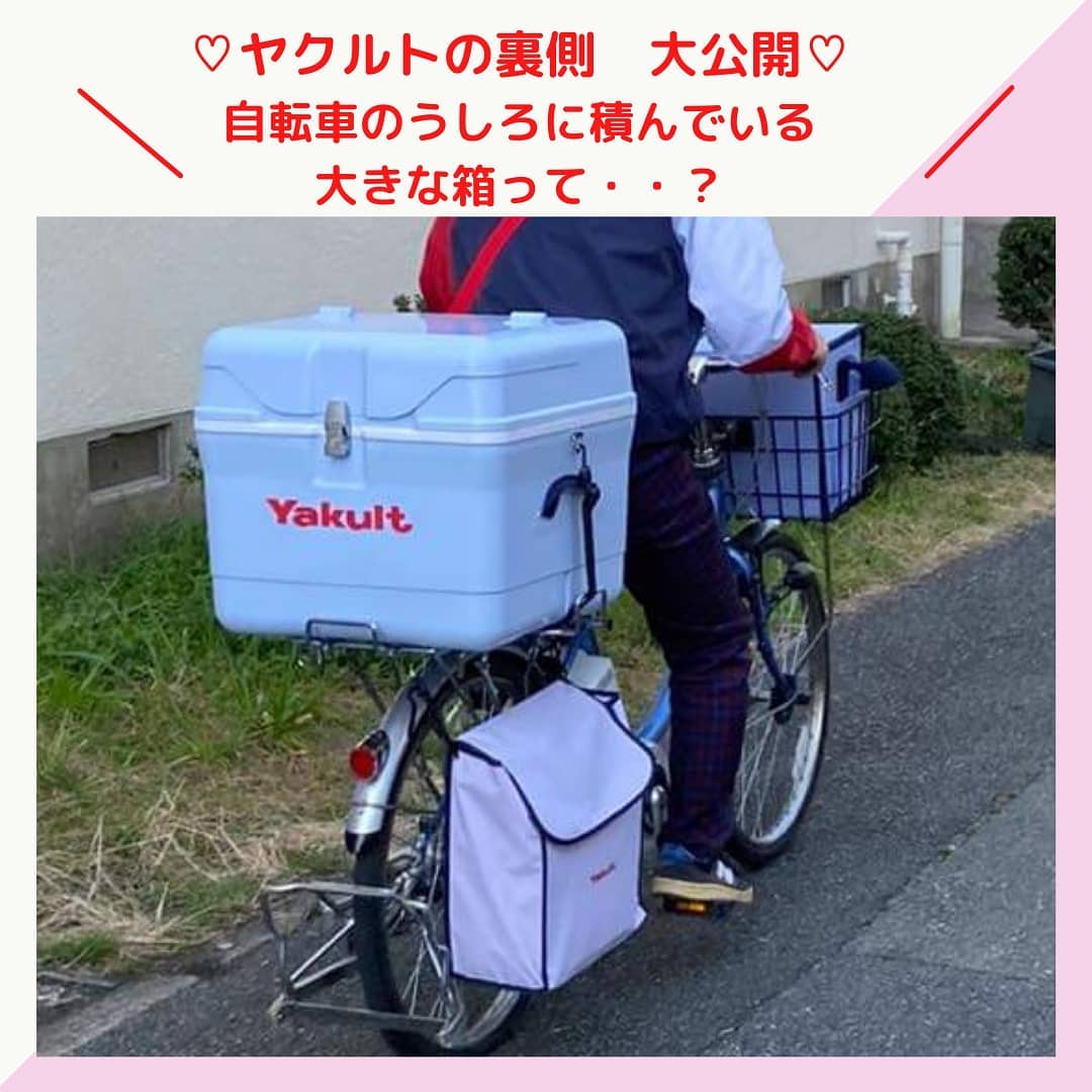 ヤクルト レディ 自転車