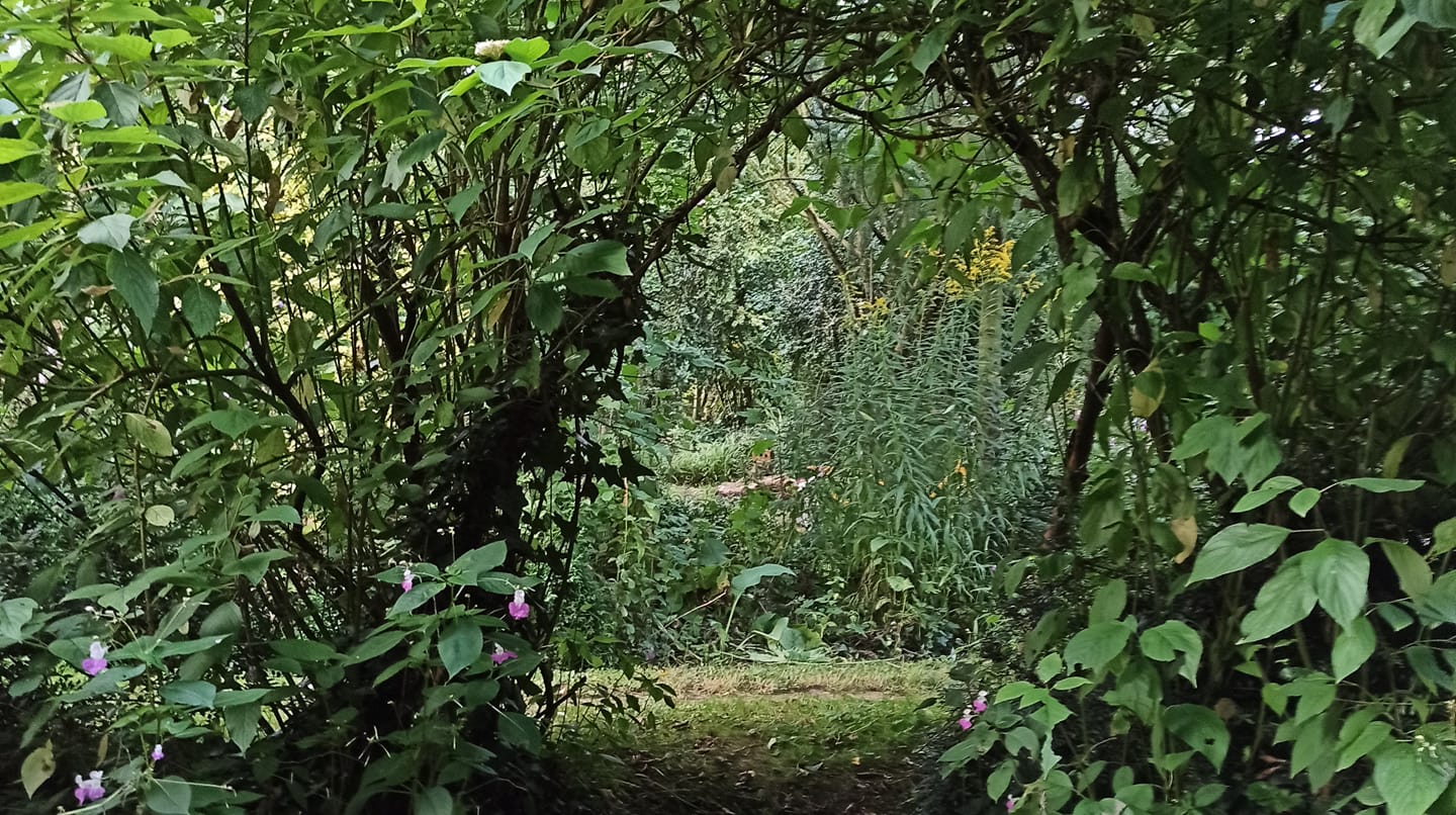 Au Jardin de Flojac