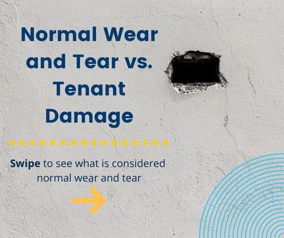 TurboTenant - 👆🏻 These are all examples of normal wear and... | Facebook