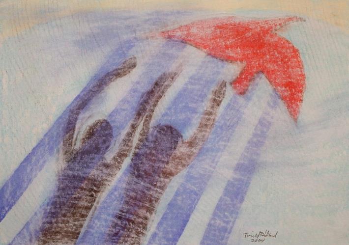 The Artist Torild Rødland