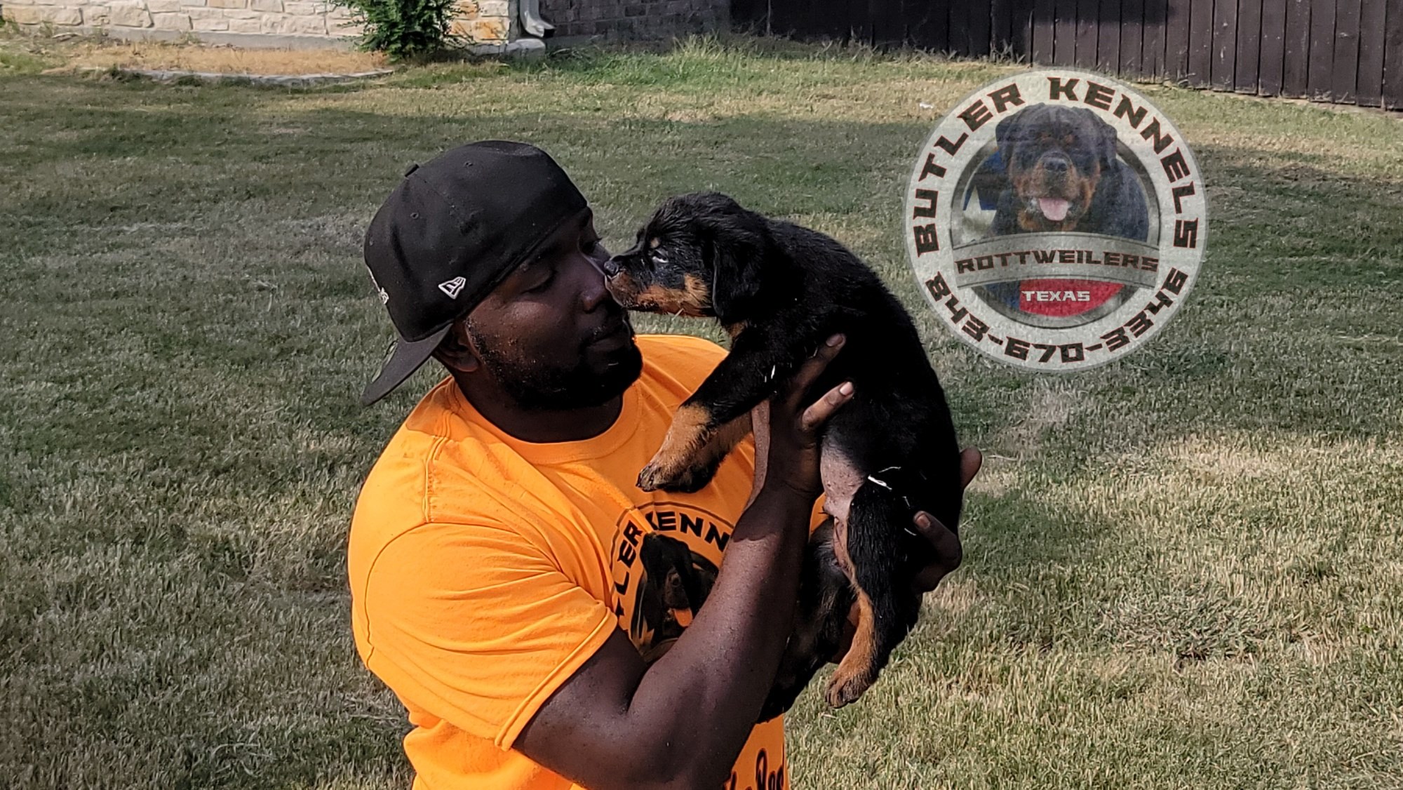 BEST OF THE BEST BUTLER... - Butler Kennels Rottweilers