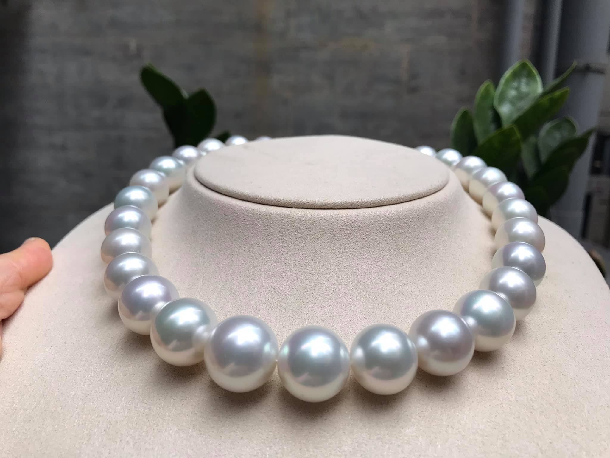 Oriental Pearl - 極品size 14至16mm 極品珠光，珠光代表珍珠的靈魂 澳洲南洋白珠