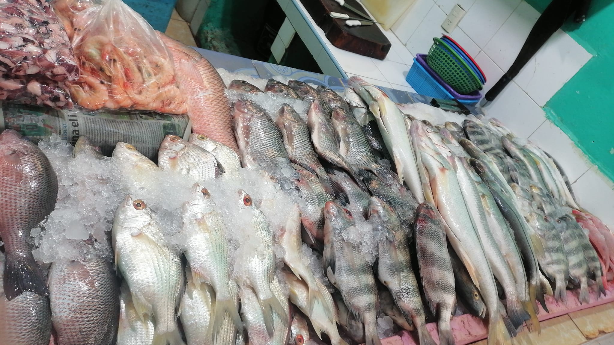 pescados-y-mariscos-laurita-tuxpan-de-rodr-guez-cano-centro
