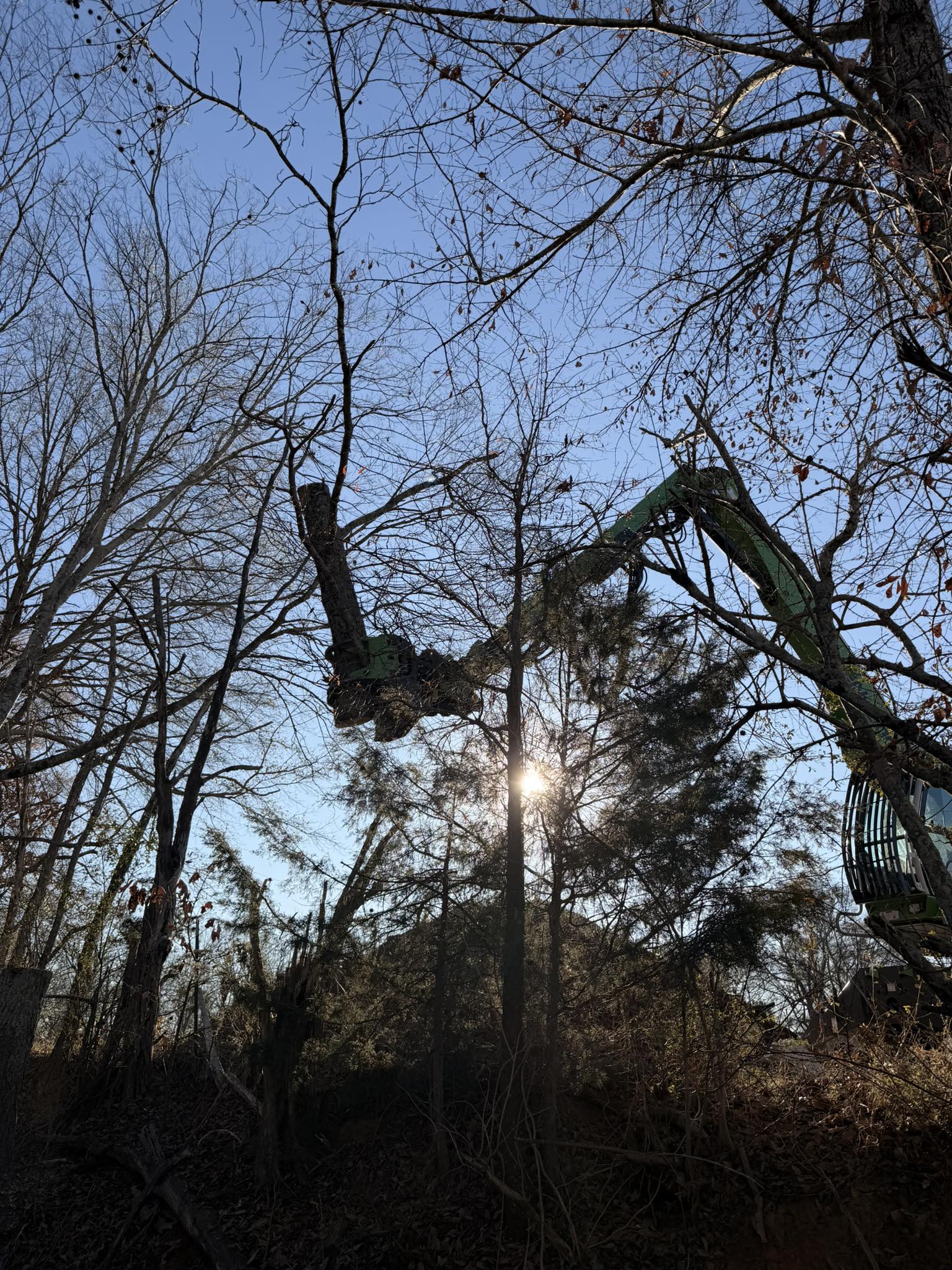 Tree Pro. Inc | Killen AL