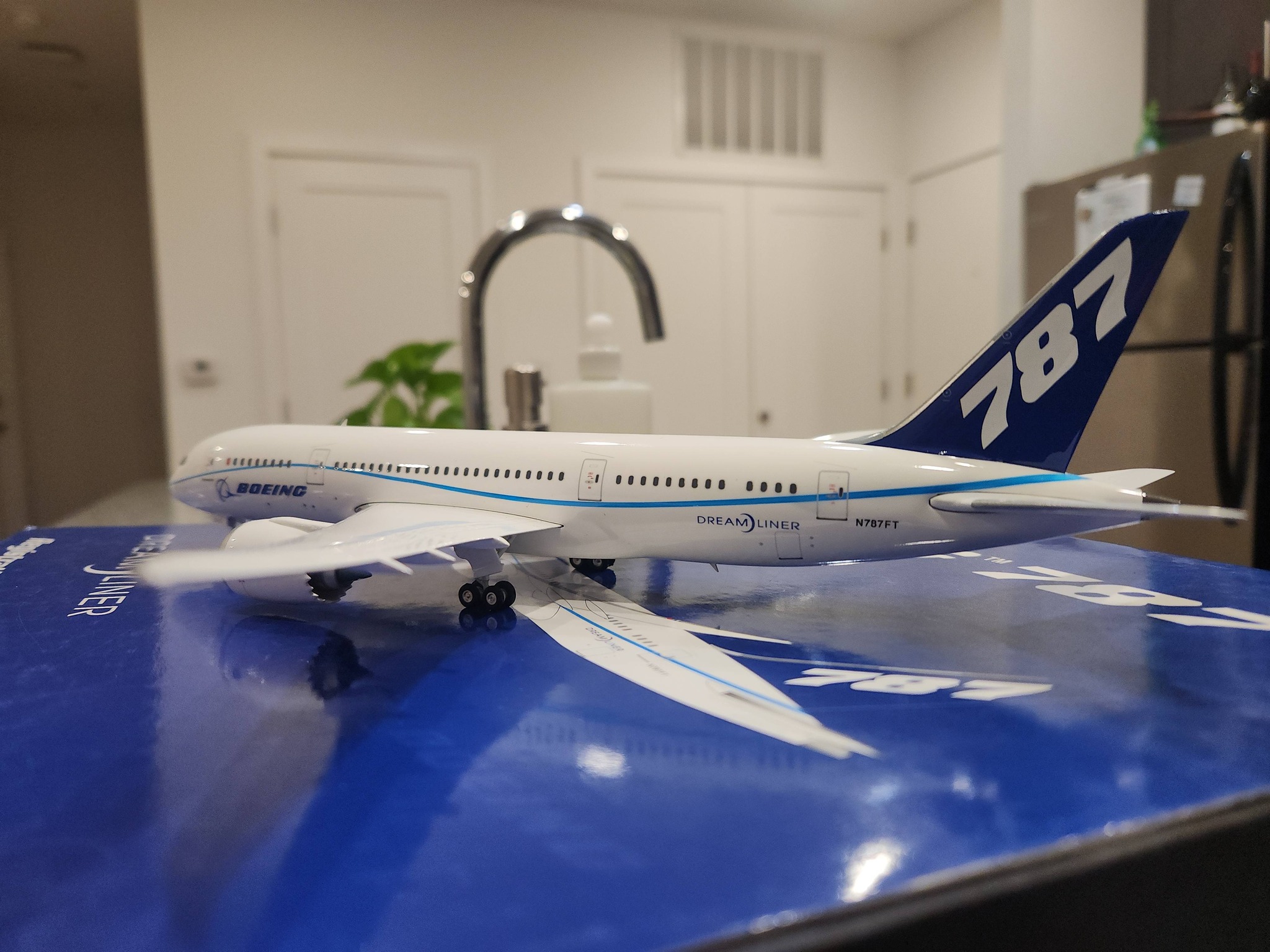 Information on Phoenix 1:200 B787-8 N787FT model