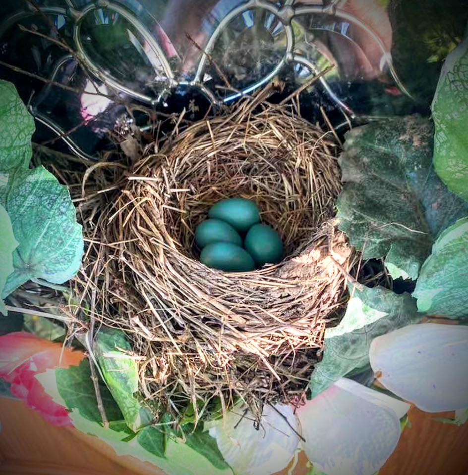 The Nest 🪺 | Get ready for a fantastic weekend | Facebook
