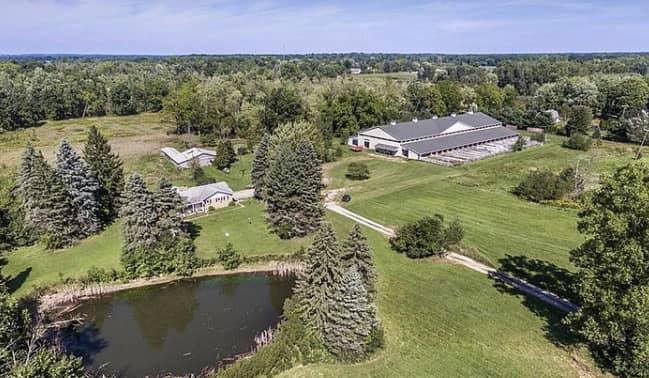 We are so excited to announce our... - Azure Ridge Farm | Facebook