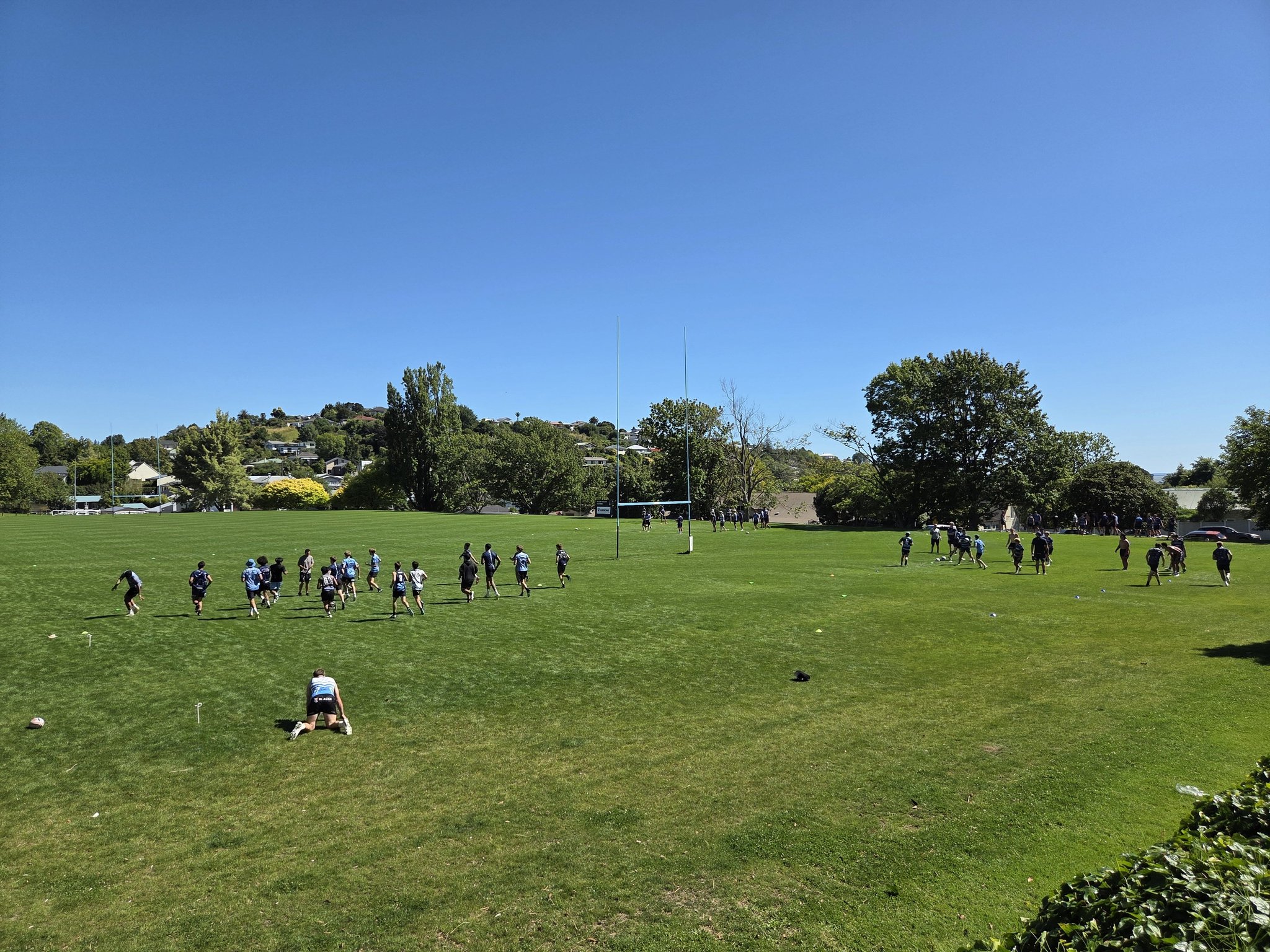 Nelson College Rugby