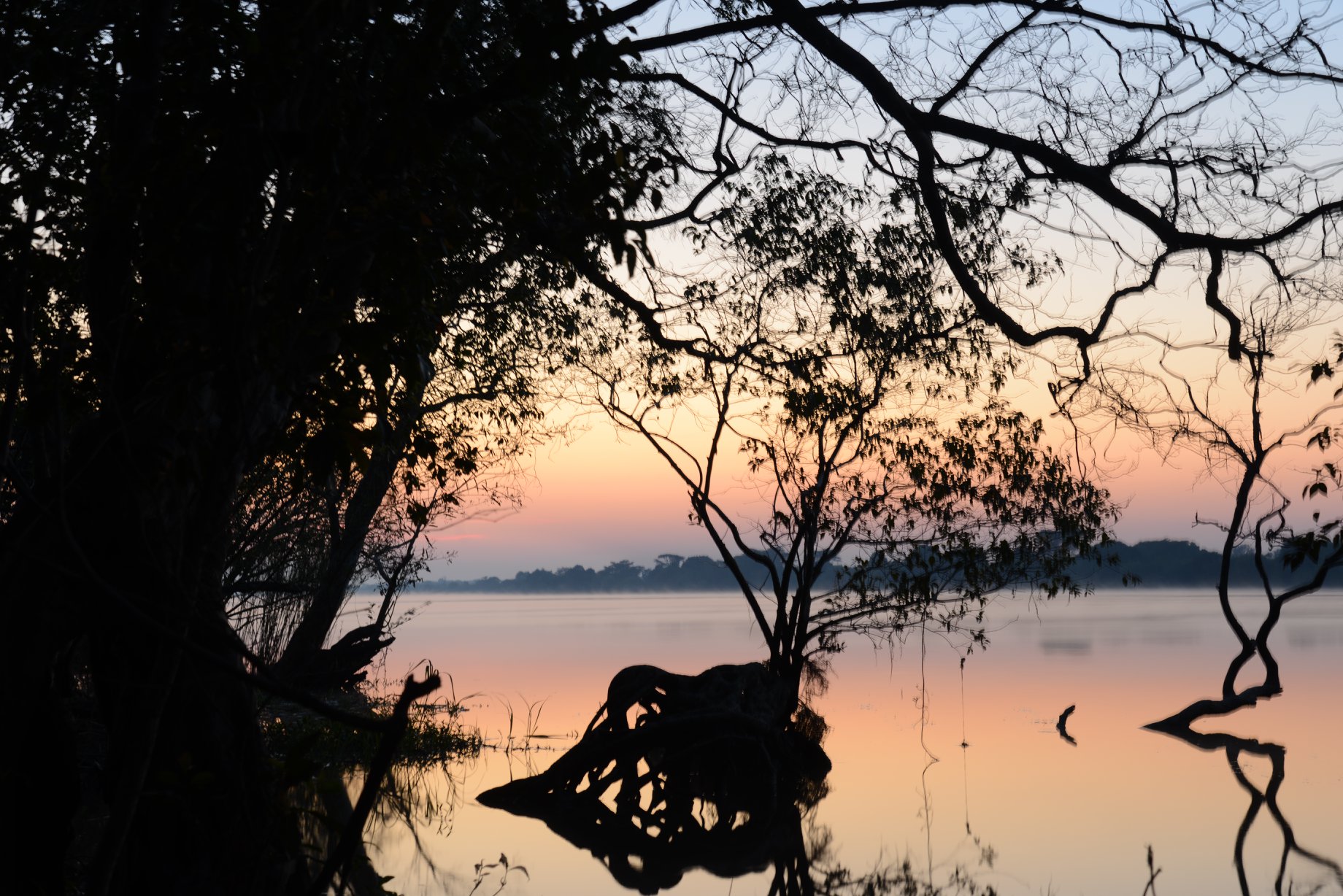 Waking up early at Mapunga for your... - Mapunga Bush Camp | Facebook