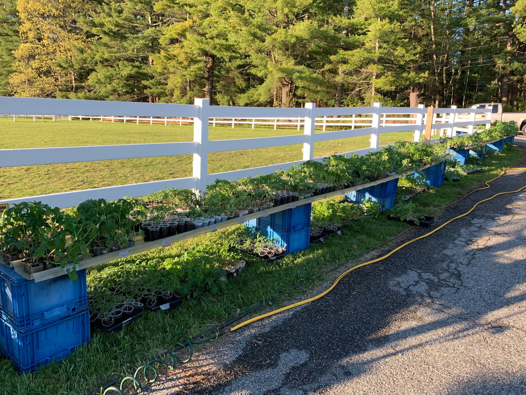 Misty's Meadows - 82 Photos - 15 Reviews - Garden Center - 872 Sherman