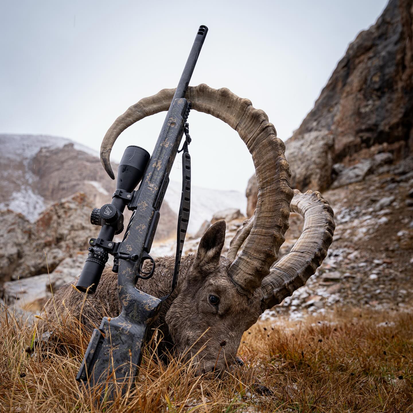MOA - | The Hybrid Hunter | . The MOA Rifles Extreme Hybrid Hunter is ...