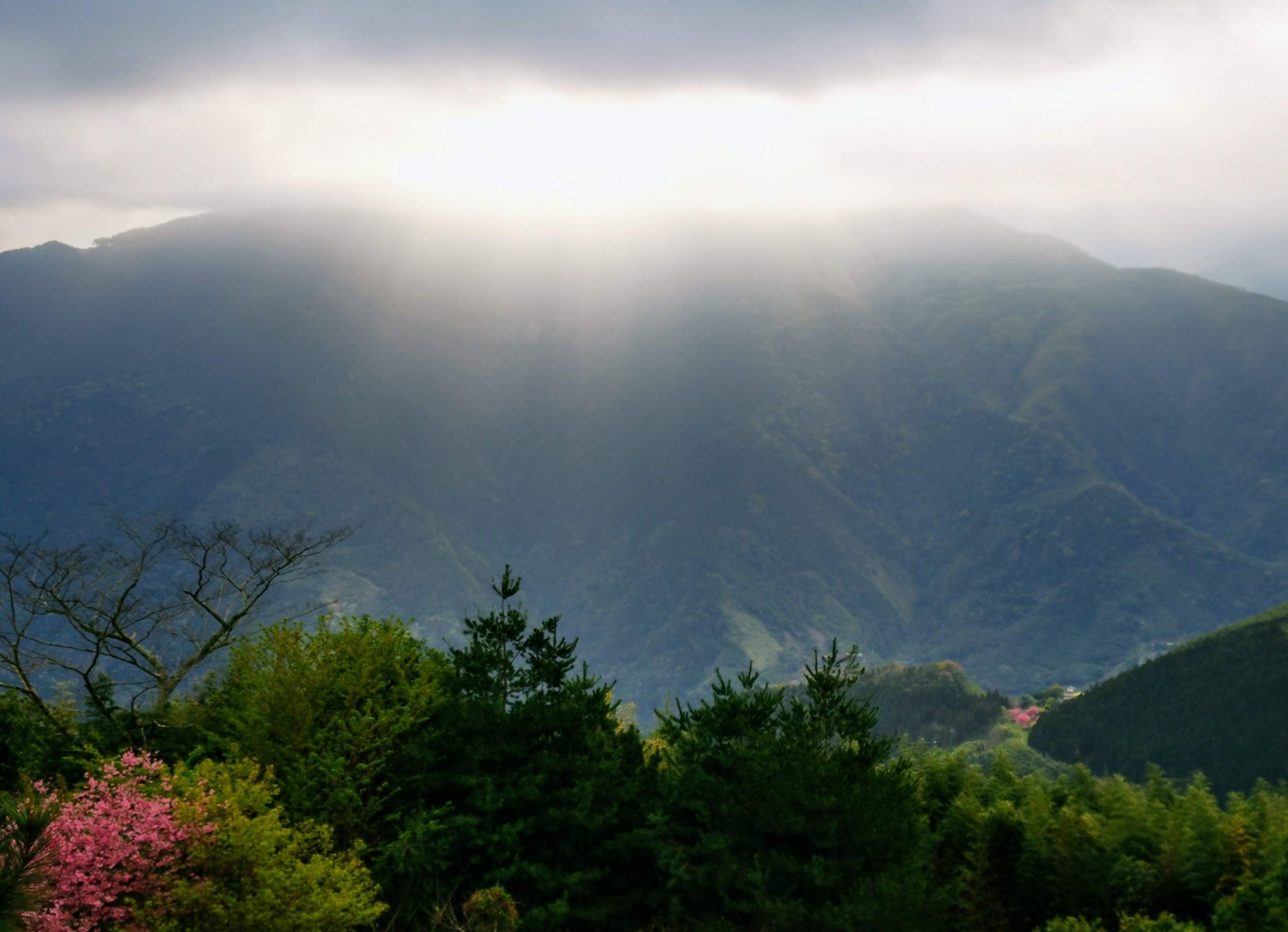 璞真山居 Community Facebook
