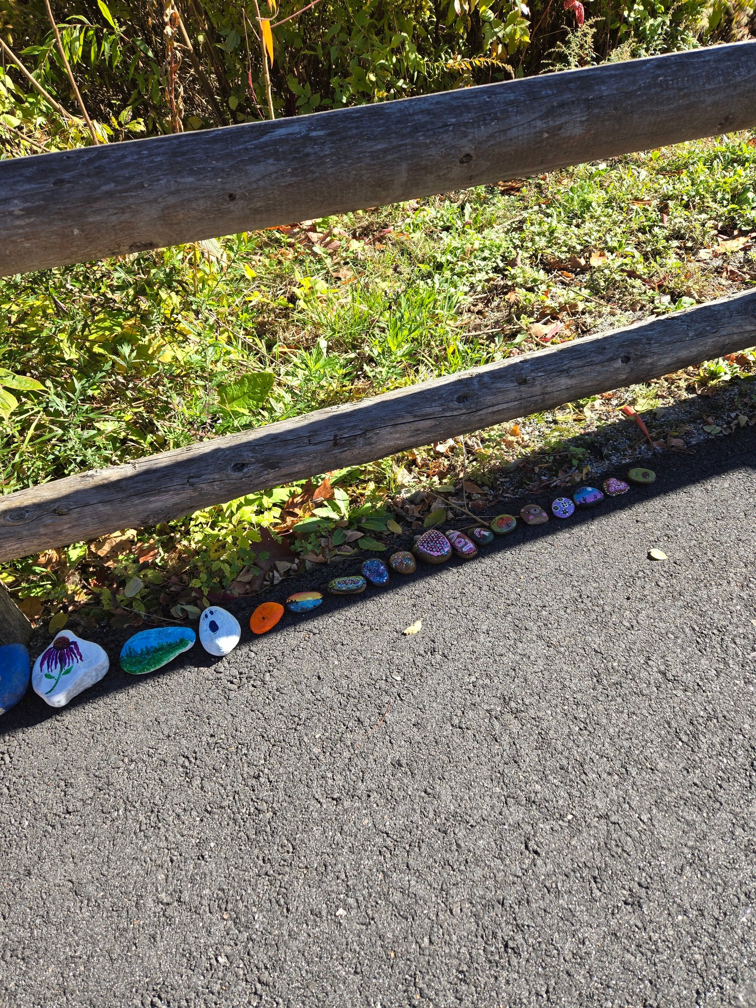 Winsted Ct neighbors helping neighbors | Someone left adorable painted ...