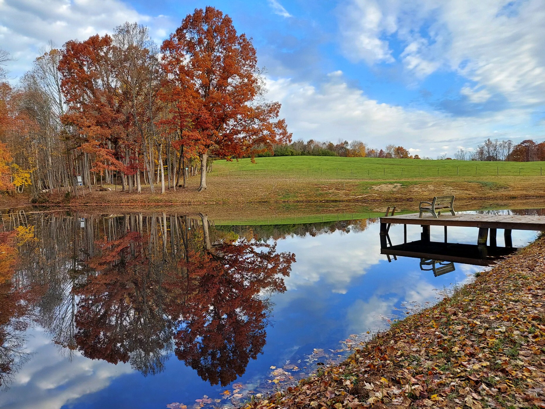 Solid Ground Dirt, LLC | McCool MS