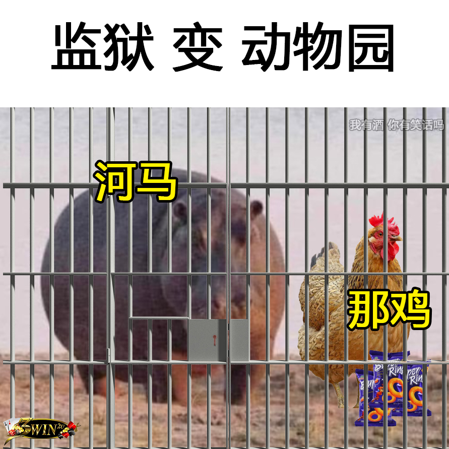 我有酒 你有memes吗? - 河马 与 那鸡 相遇 . . 3WIN2U 全马最火、最受信赖的线上游戏、你想玩的 通通都有