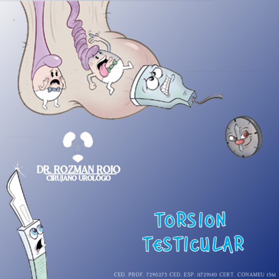 TORSION... - Dr. Luis Rozman Rojo Salazar - Urólogo en Durango